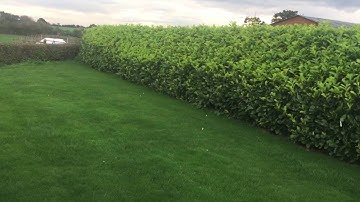 3D printed drone crash