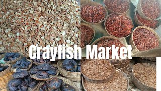 Crayfish || Fish || Ogbono Market in Cotonou 🇧🇯