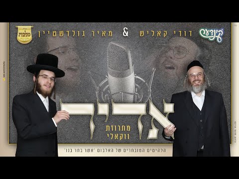 דודי קאליש, מאיר גולדשטיין, מקהלת מלכות - אדיר - ווקאלי | Malchus Choir