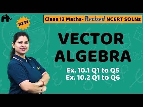 Vector Algebra Class