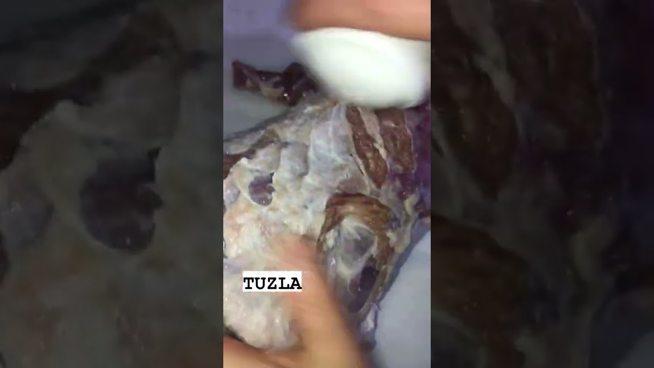 Yemek Tarifleri Fırında Et-Recipes Baked Meat  #pratik#shorts #beta #short #viral #videoviral
