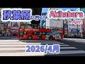 秋葉原に行くゾ2026 4月 桜の季節!~靖国神社へ行ってみた【お散歩】