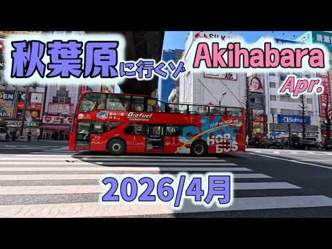 秋葉原に行くゾ2026 4月 桜の季節!~靖国神社へ行ってみた【お散歩】