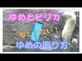 ゆめとピリカ　ゆめの撮り方　旭山動物園【Polar bear baby movie】