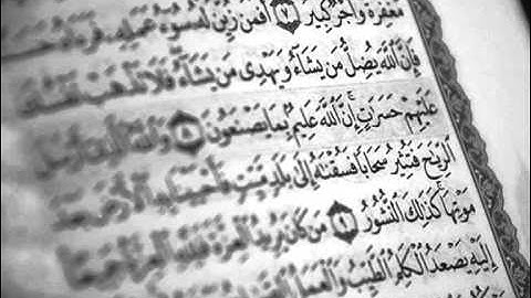 سورة فاطر تلاوة الشيخ عبدالرحمن السديس  .