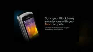 BlackBerry Desktop Manager screenshot 4