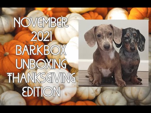 November 2021 Barkbox Home Fur Thanksgiving Unboxing - YouTube