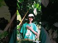 Holyrina _ Kobolo reaction video