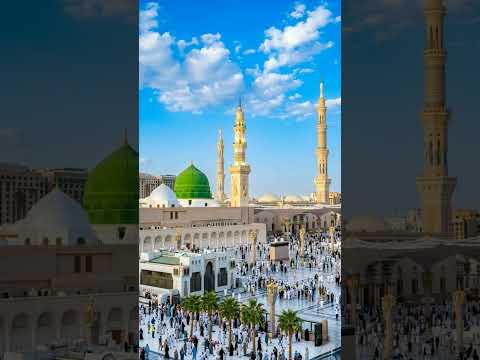 সত্যিই কি আপনার হাত পচে যাবে #islamicstatus #shorts #islamicvideo #viral #newstatus