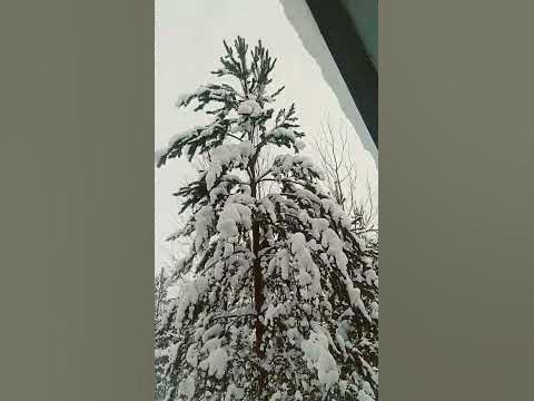 СНЕГ, СНЕЖОК...! - YouTube