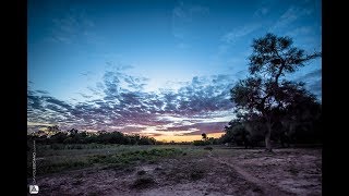 Video thumbnail of "YAéYA - Hernán Arias - "De Mis Raíces""