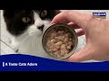 海洋之星FISH4CATS 鮪魚海藻貓罐 70g (30罐) product youtube thumbnail