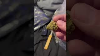 THCA Pounds: Where to Find the Best Offers in October 2025