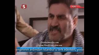 Karadağın Boz yılanı (Tek Türkiye)