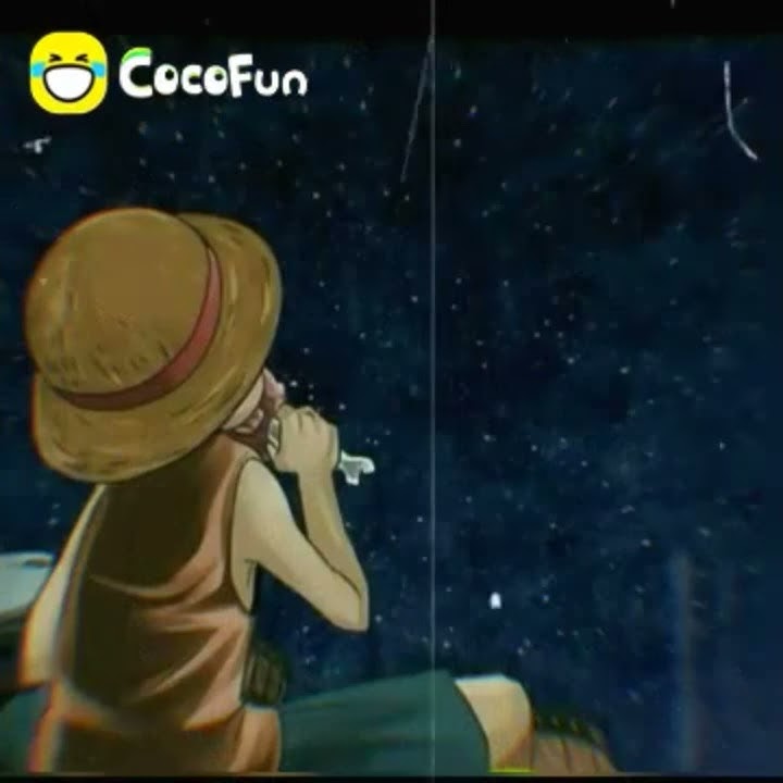 Story wa begadang #Cocofun