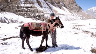 Traditional Horse Herding in Pin Valley/Spiti | Story of Todnam  5/6