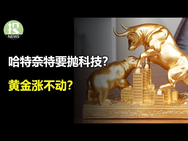 哈特奈特要抛科技？黄金涨不动？英伟达也涨不动？ 但斌要你别犹豫！