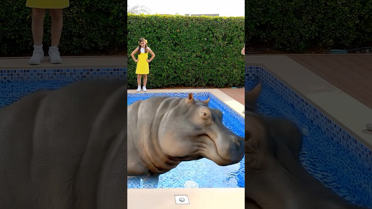 Giant Hippo in the Pool?! 😲