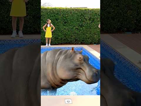 Giant Hippo in the Pool?! 😲