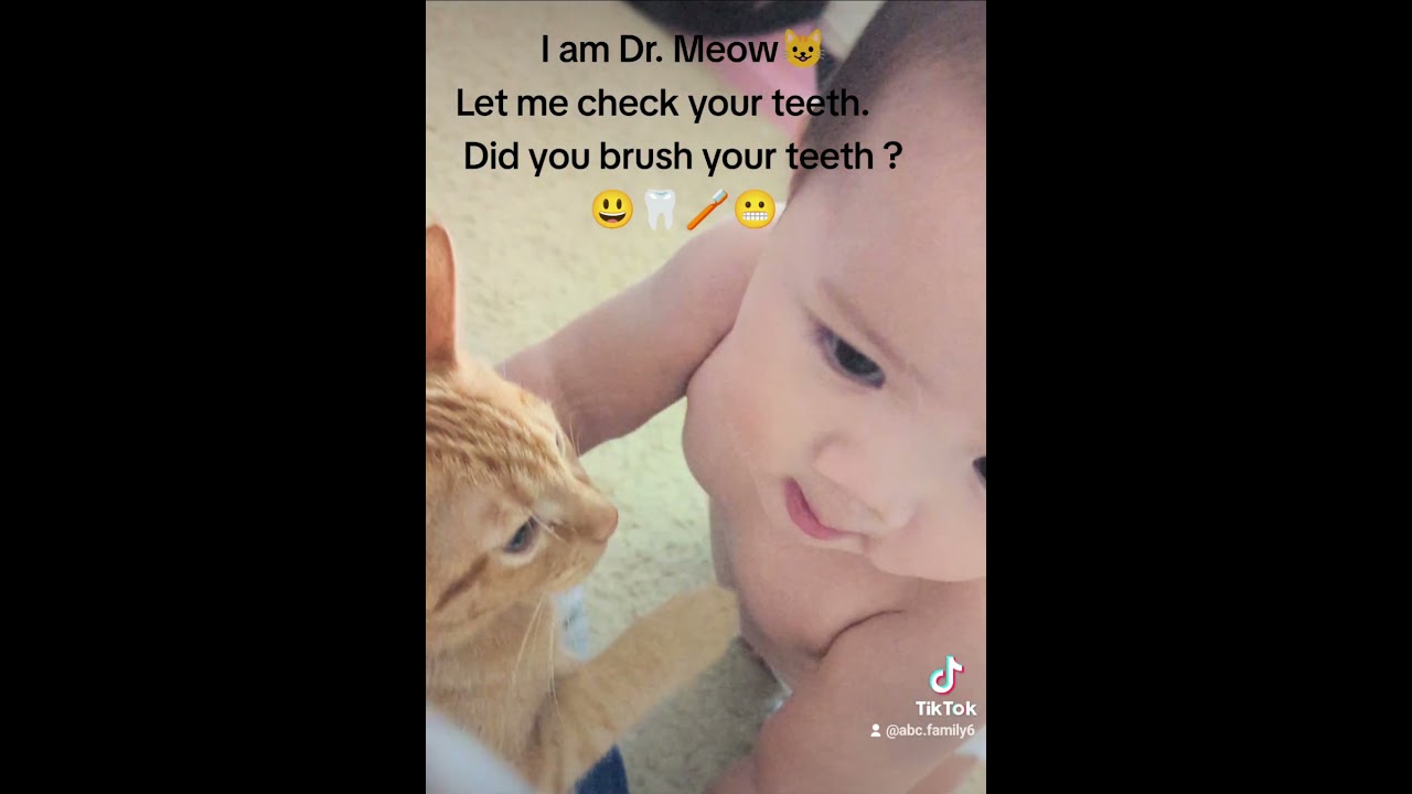 I am Dr. Meow 😺Let me check your teeth. Did you brush your teeth