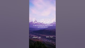 سورة محمد | يَا أَيُّهَا الَّذِينَ آمَنُوا إِن تَنصُرُوا اللَّهَ يَنصُرْكُمْ #غزة #shortvideo