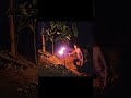 How to Build a Safe Shelter in a Tall Tree and Survive from Wild Animals 🌳🦓🏕️