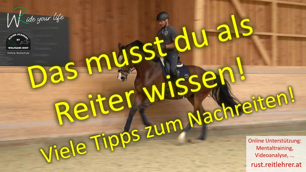 Wie Reitet Man Ein Pferd Durchs Genick F137 Mr. Million: Pferde geschlossen durchs Genick reiten. Übungen zum
