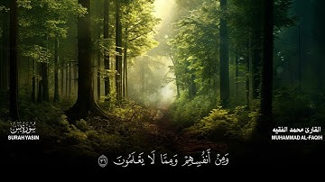 سورة يس كاملة مكتوبة  للقارئ الشيخ محمد الفقيه   تلاوة خاشعة ومؤثرة😌💚