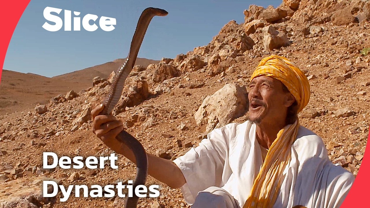 Morocco’s Desert Masters: Snakes, Camels, and Ancient Traditions | SLICE