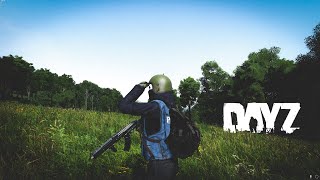 ИГРАЮ И СЛУШАЮ ДРЕЛЬ - RED WINGS / DEER ISLE [DAYZ STREAM] #dayz#дейз