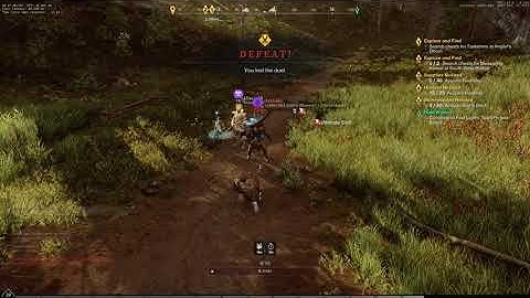 New World PvP  duels Ice Gauntlet / Musket  INT/DEX build