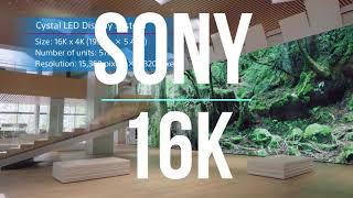 Новые телевизоры SONY 16K.