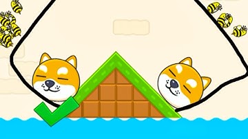 Save The Doge Speedrun Gameplay Level 80