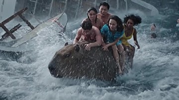 Chiến Sĩ Quả Cảm Capybara Dũng Cảm Giúp Người Bị Lật Tàu