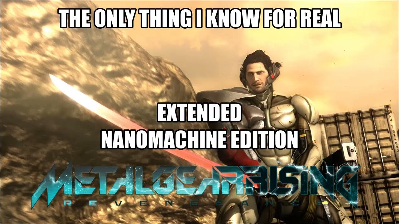 The Only Thing I Know For Real Extended The Only Thing I Know For Real [Metal Gear Rising Revengeance
