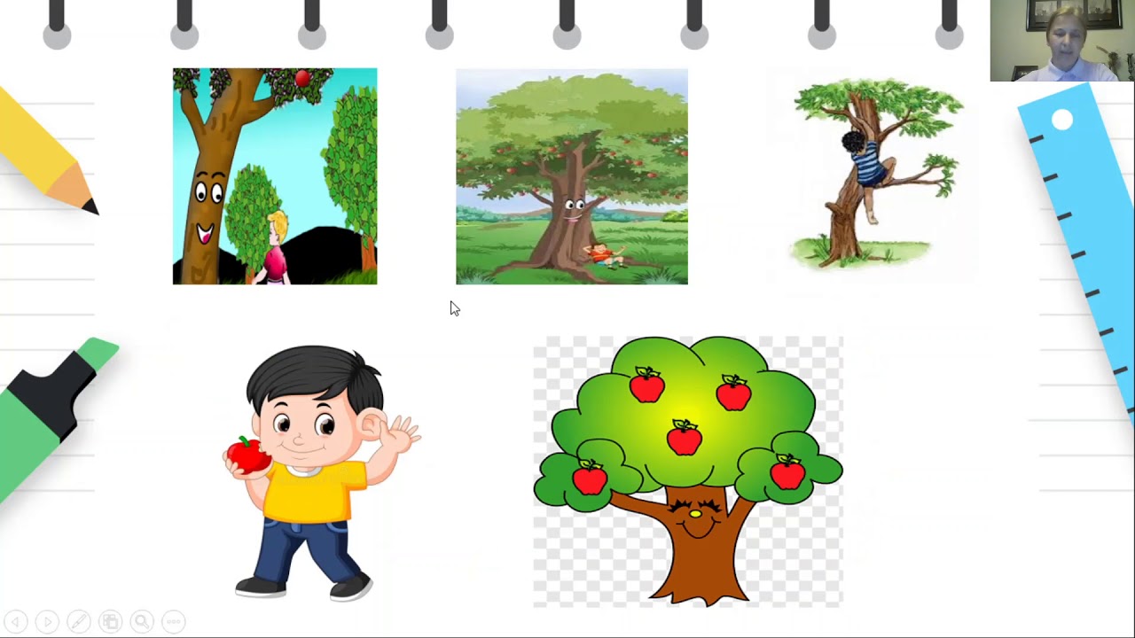 4 до 6 години - Наука - Запознавање и разбирање на околината - ДОБРОТО  ДАРЕЖЛИВО ДРВО