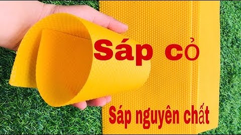 Chân tầng ong nội/ Sáp nguyên chất 100%