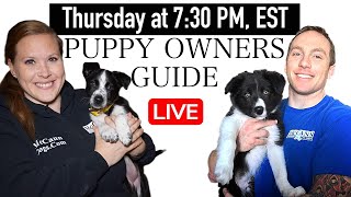 7 Things Puppy Owners Need To Know  Puppy Owners Guide