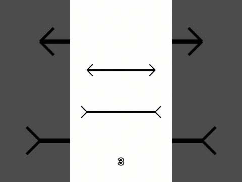 Which Line Is Longer? (Müller–Lyer) by VisualHack Lab