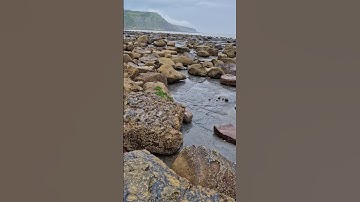 Fossil Hunting on the North Yorkshire Coast! 🌊🪨⚒️ #fossilhunting #fossils #shorts #coast #ammonite