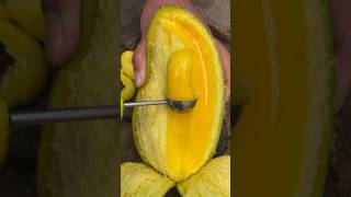 Mango Fruit Cutting
