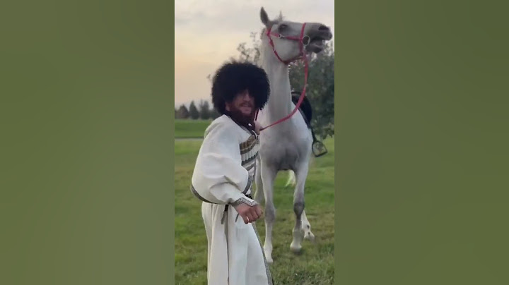 🇬🇪 Merab Dvalishvili being Merab Dvalishvili