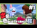 【ポケモン剣盾】出会ったら色違い出るまで進めない旅 #1【ゆっくり実況】