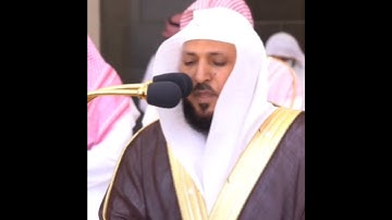 تلاوة مرئية ما تيسر من سورة الليل الشيخ ماهر المعيقلي