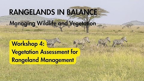 Vegetation Assessment for Rangeland Management