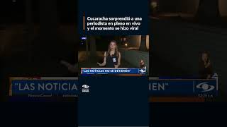 Insolito una cucaracha camino sobre la ropa y el microfono de una reportera en vivo