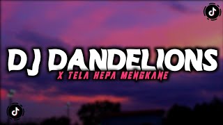 DJ DANDELIONS V2 X TELA HEPA MENGKANE FYP TIKTOK