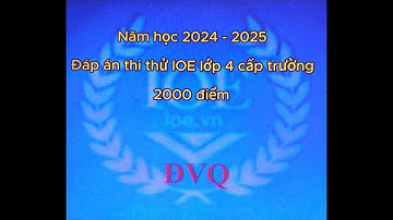 Đáp án thi thử IOE lớp 4 cấp trường lần 2 năm học 2024 2025 có giải thích từ mới và cấu trúc câu