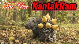 Full The Clever Little Porcupine | Moral Story in English. Update