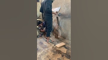 Tree Branch Bookshelf A Handmade Masterpiece#shorts